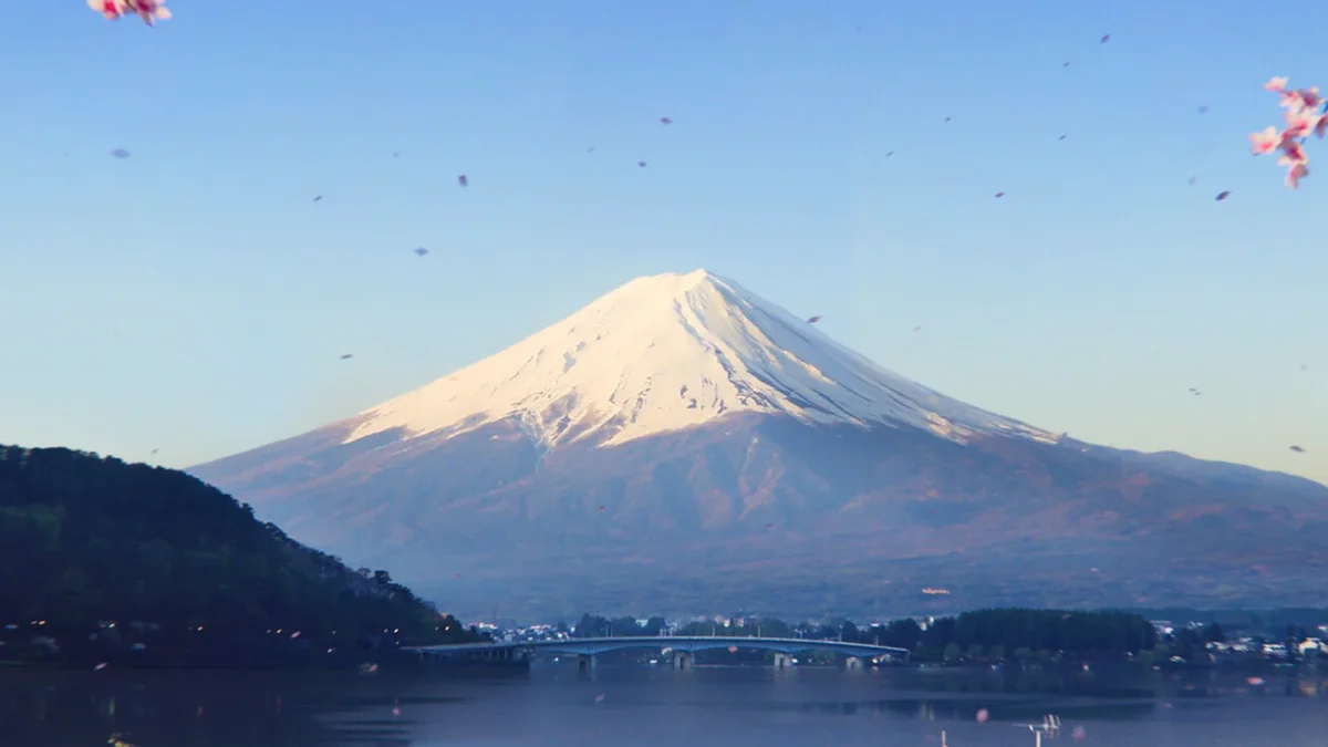 Key art oficial de Forza Horizon 6 exibindo carros esportivos em alta velocidade nas ruas iluminadas de Tóquio, Japão